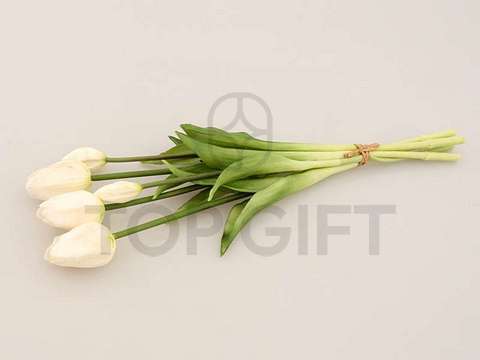 TULIPAN BUKIET X 5 GUMA