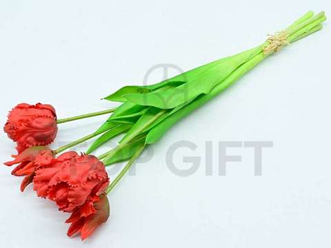 TULIPAN GUMOWANY BUKIET X5