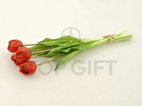 TULIPAN GUMOWANY BUKIET X7