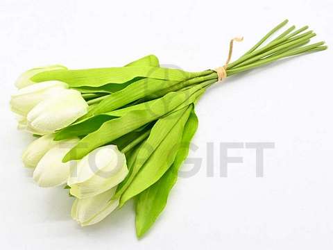 TULIPAN BUKIET X9