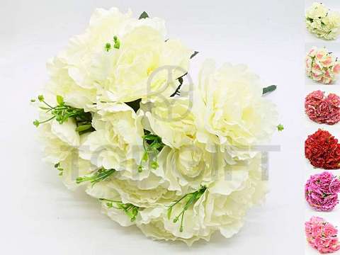 PEONIA BUKIET X17