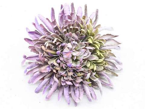 CHRYZANTEMA WYROBOWA