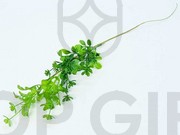 GAŁĄZKA PLASTIK