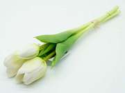 TULIPAN GUMOWANY BUKIET X3