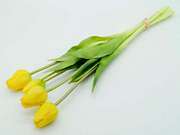 TULIPAN GUMOWANY BUKIET X5