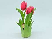 TULIPAN GUMOWANY W DONICZCE X3