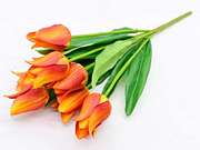 TULIPAN BUKIET X9