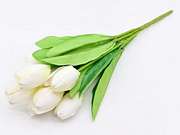 TULIPAN BUKIET X9
