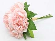 PEONIA BUKIET X5